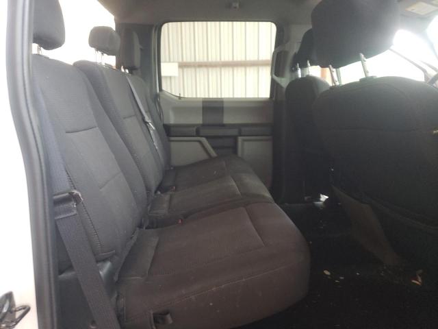 Photo 6 from auction – 2019 FORD F150 SUPER with VIN 1FTEW1CP1KKD69766