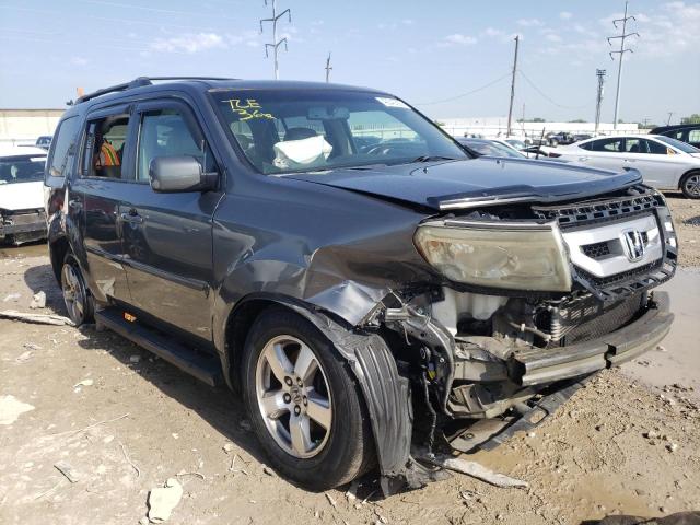 HONDA PILOT EXL 2009 with VIN 5FNYF48679B026448 - Photo from auction
