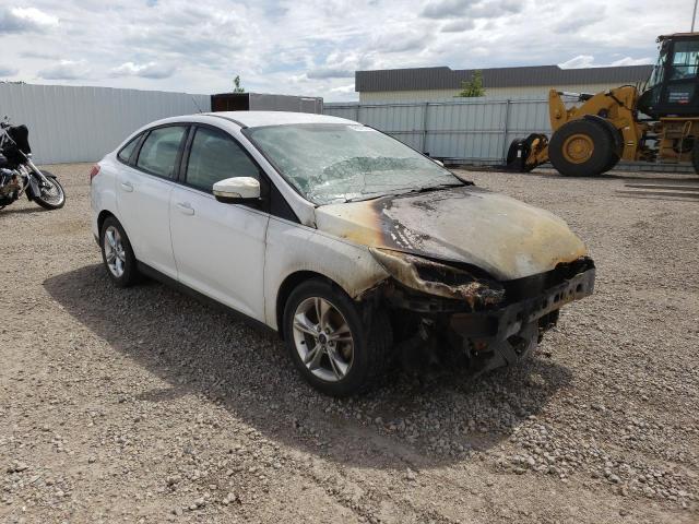 FORD FOCUS SE 2014 with VIN 1FADP3F21EL375687 - Photo from auction