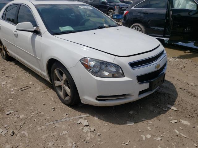 Photo 9 from auction – 2011 CHEVROLET MALIBU 1LT with VIN 1G1ZC5E16BF181093