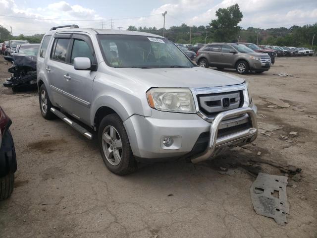 HONDA PILOT EX 2009 with VIN 5FNYF48429B010303 - Photo from auction