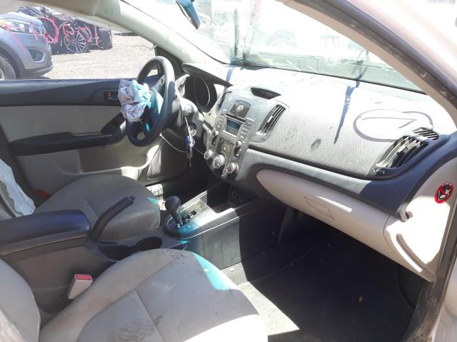 Photo 5 from auction – 2010 KIA FORTE EX with VIN KNAFU4A28A5129921