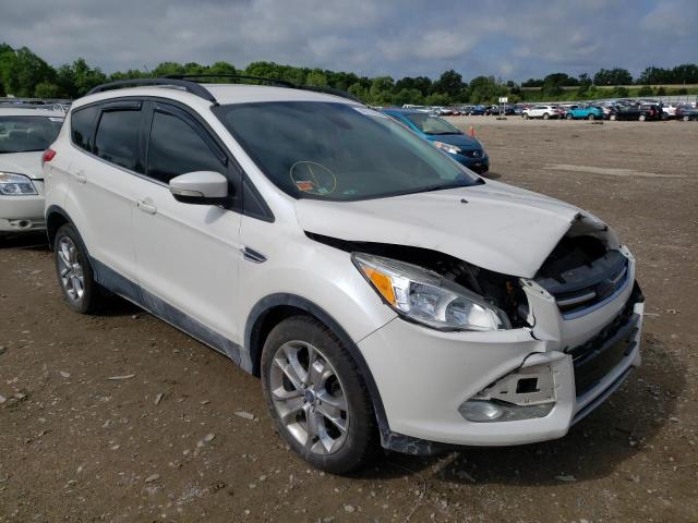 FORD ESCAPE SEL 2013 with VIN 1FMCU0H95DUB45274 - Photo from auction