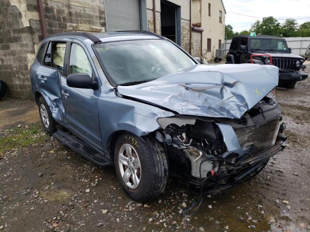 HYUNDAI SANTA FE G 2009 with VIN 5NMSG13D19H262406 - Photo from auction