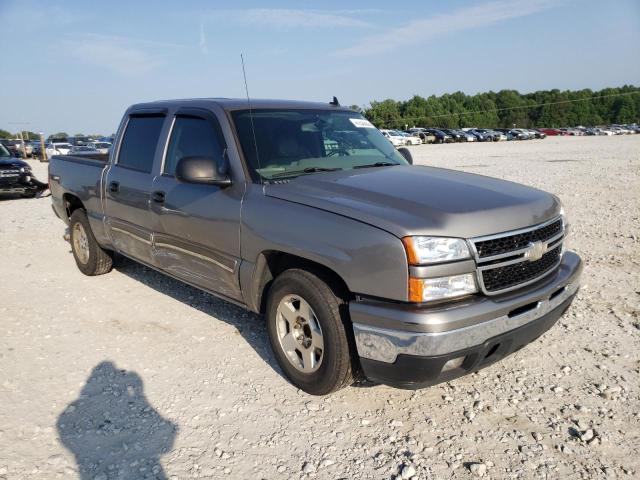 CHEVROLET SILVERADO 2006 with VIN 2GCEC13T161188713 - Photo from auction