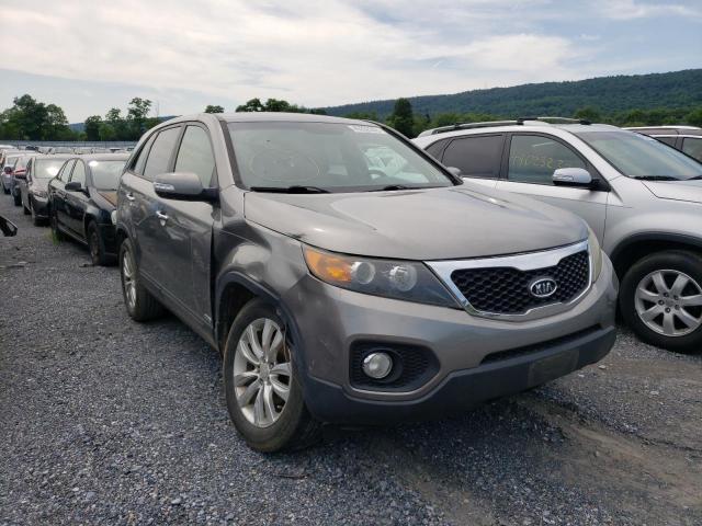 Photo 1 from auction – 2011 KIA SORENTO EX with VIN 5XYKUDA28BG026282