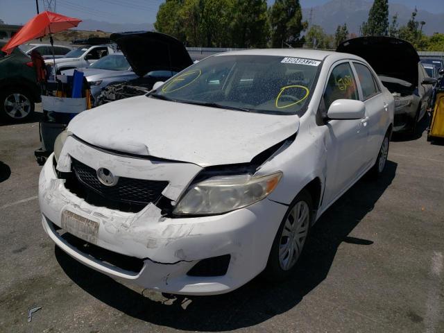 Photo 2 from auction – 2010 TOYOTA COROLLA BA with VIN 1NXBU4EE8AZ303087