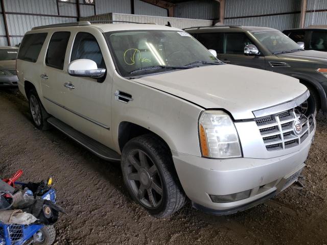 CADILLAC ESCALADE E 2008 مع رقم تعريف المركبة 1GYFK66898R212983 - صورة من المزاد