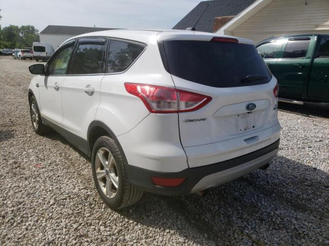 Photo 3 from auction – 2014 FORD ESCAPE SE with VIN 1FMCU0GX8EUD78700