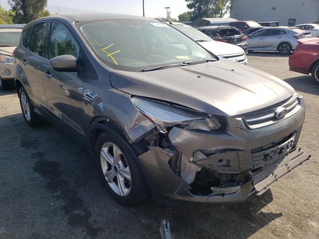 FORD ESCAPE SE 2013 with VIN 1FMCU0GX2DUD86919 - Photo from auction