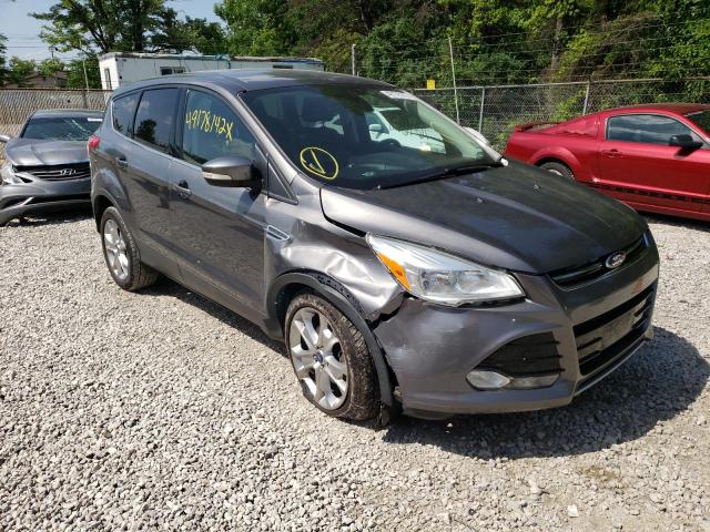 FORD ESCAPE SEL 2013 with VIN 1FMCU0HX6DUC94646 - Photo from auction