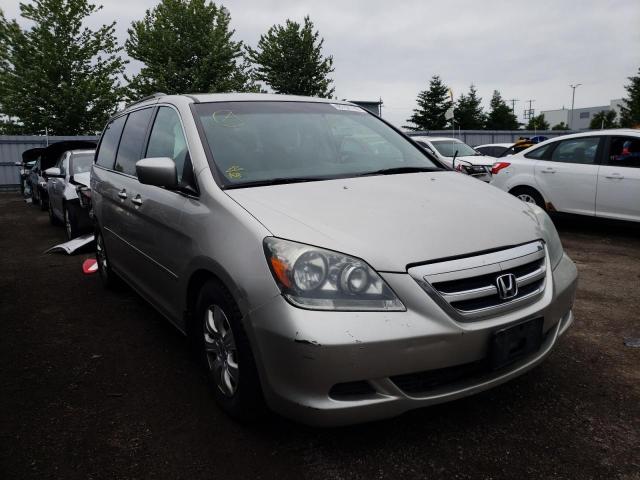 HONDA ODYSSEY EX 2006 with VIN 5FNRL38496B507156 - Photo from auction