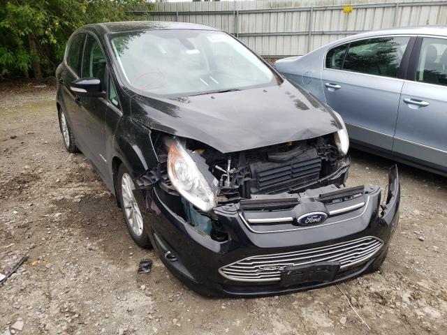 FORD C-MAX SEL 2013 with VIN 1FADP5BU5DL506699 - Photo from auction