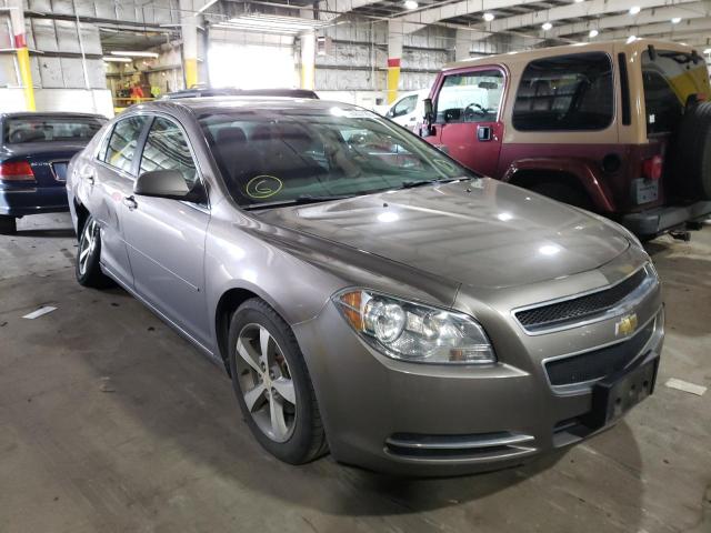CHEVROLET MALIBU 1LT 2011 with VIN 1G1ZC5EU4BF379861 - Photo from auction