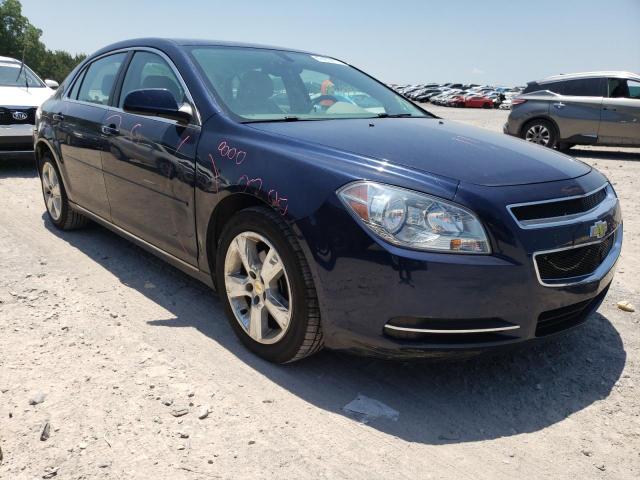 CHEVROLET MALIBU 2LT 2010 with VIN 1G1ZD5EB4AF160800 - Photo from auction