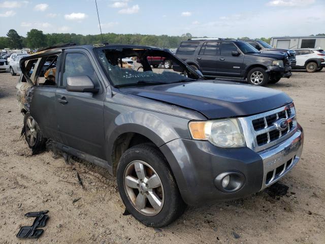 FORD ESCAPE LIM 2010 with VIN 1FMCU0EG4AKC81907 - Photo from auction