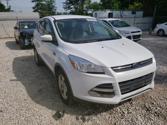 FORD ESCAPE SE 2014 with VIN 1FMCU0GX8EUD78700 - Photo from auction