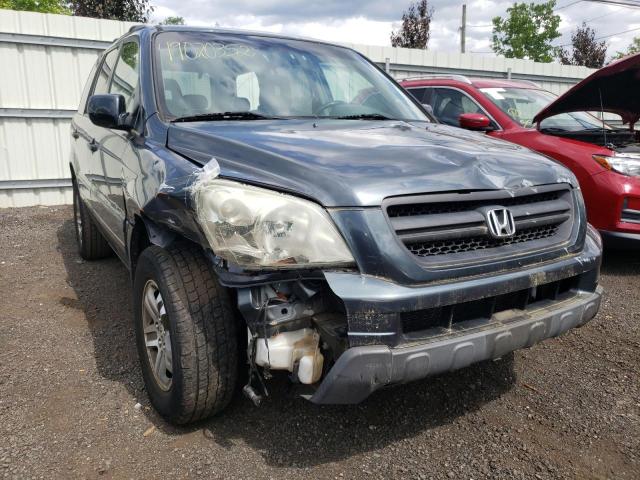 HONDA PILOT EX 2005 with VIN 5FNYF18475B067251 - Photo from auction
