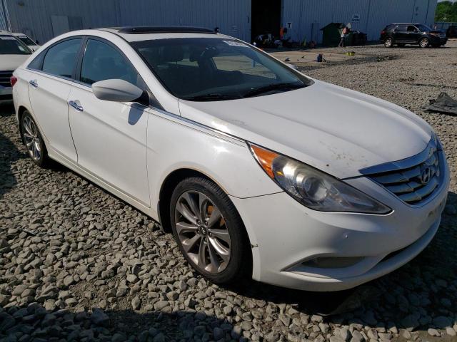 HYUNDAI SONATA SE 2013 with VIN 5NPEC4AC1DH600533 - Photo from auction