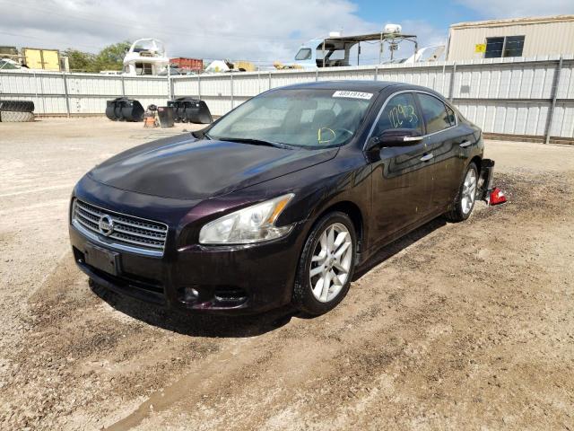 Фото 2 с аукциона – 2011 NISSAN MAXIMA S с VIN 1N4AA5AP5BC815456