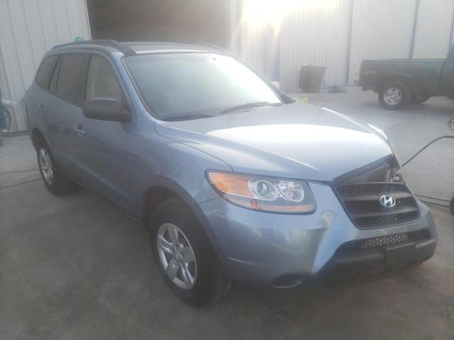 HYUNDAI SANTA FE G 2009 with VIN 5NMSG13D09H263059 - Photo from auction