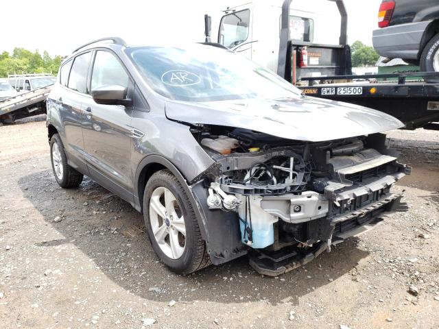 FORD ESCAPE SE 2014 with VIN 1FMCU0GX7EUB53278 - Photo from auction