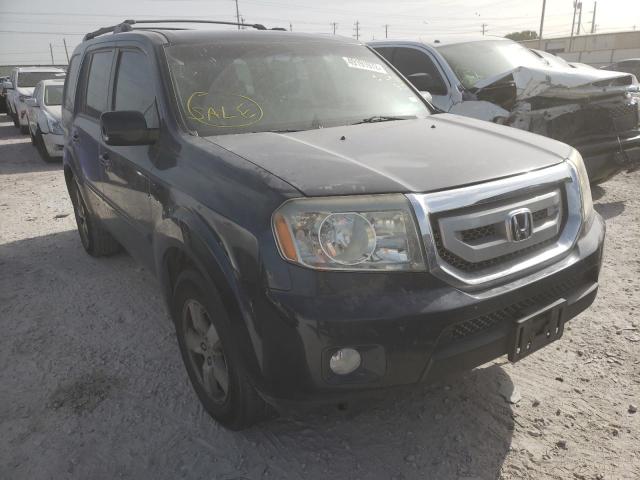 HONDA PILOT EX 2009 with VIN 5FNYF38439B012958 - Photo from auction