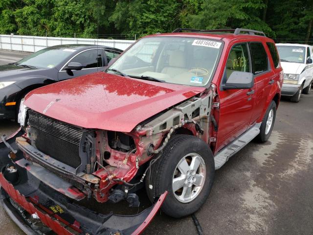 Photo 2 from auction – 2010 FORD ESCAPE XLT with VIN 1FMCU0DG7AKB31792