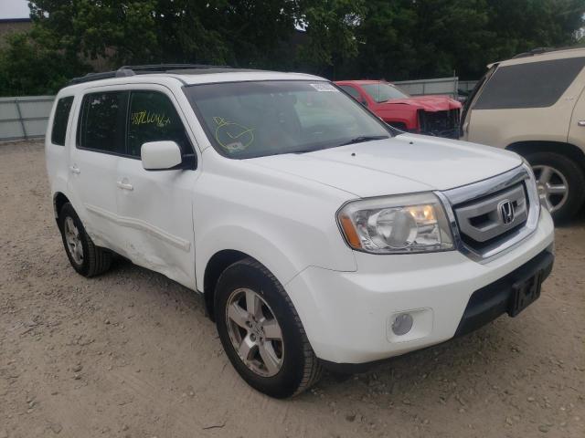 HONDA PILOT EXL 2010 with VIN 5FNYF4H54AB004063 - Photo from auction