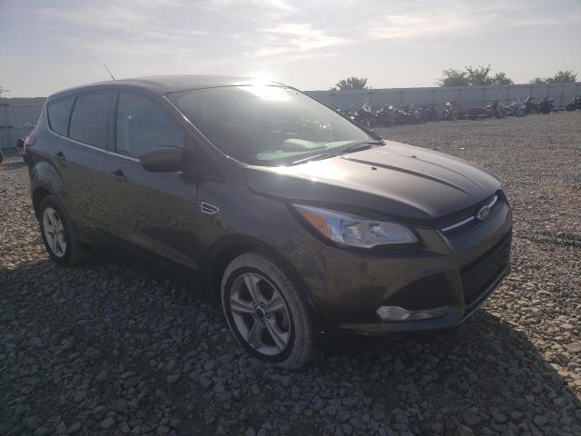 FORD ESCAPE SE 2016 with VIN 1FMCU0G73GUB93845 - Photo from auction