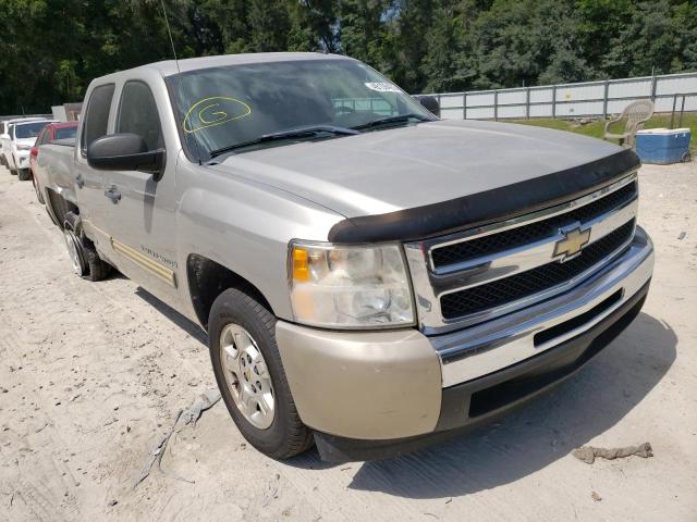 CHEVROLET SILVERADO 2009 with VIN 3GCEC13329G223805 - Photo from auction