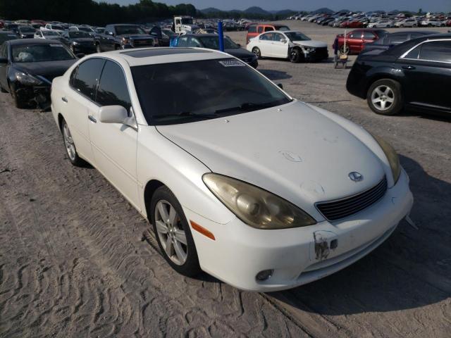 LEXUS ES 330 2005 with VIN JTHBA30G255080592 - Photo from auction