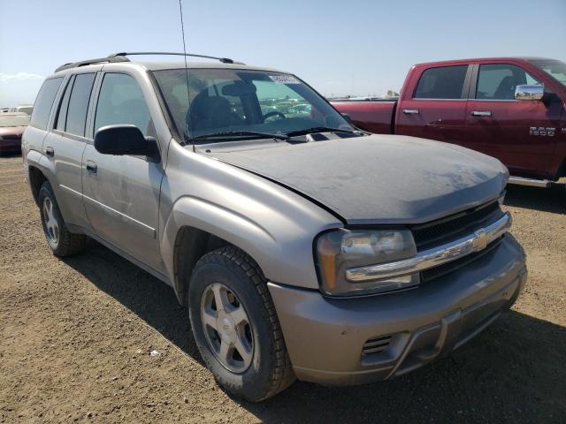 CHEVROLET TRAILBLAZE 2006 with VIN 1GNDT13S762221045 - Photo from auction