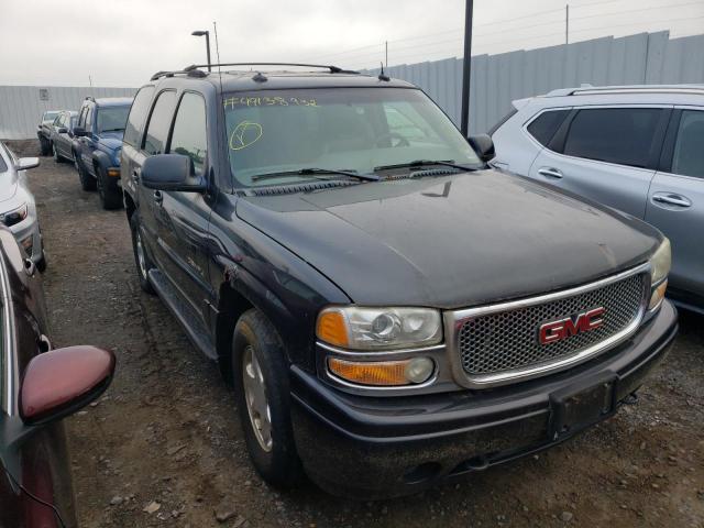GMC YUKON DENA 2003 with VIN 1GKEK63U43J333791 - Photo from auction