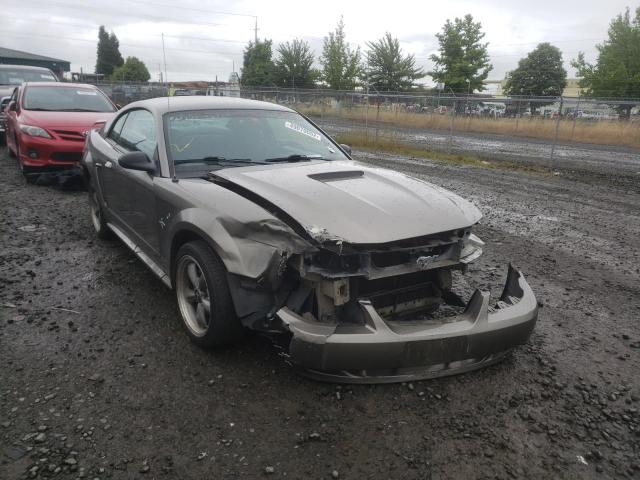 FORD MUSTANG 2001 with VIN 1FAFP40431F193278 - Photo from auction
