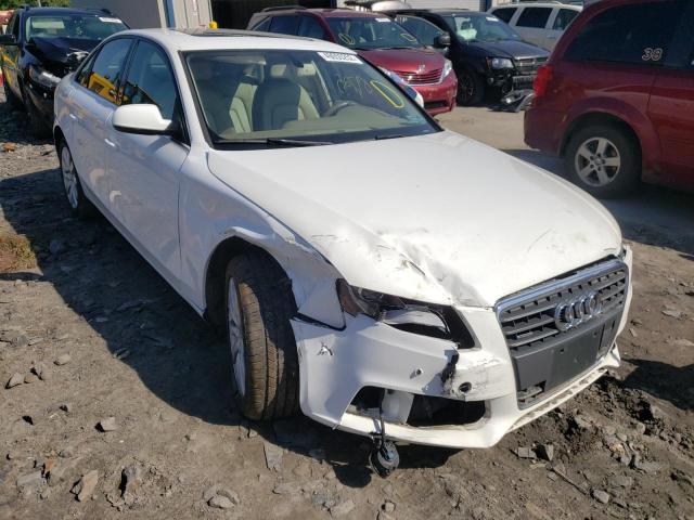 AUDI A4 PREMIUM 2011 with VIN WAUFFAFL7BA089611 - Photo from auction