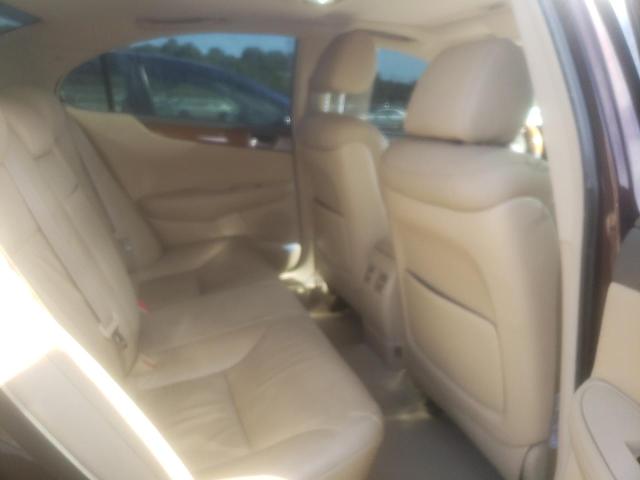 Photo 6 from auction – 2006 LEXUS ES 330 with VIN JTHBA30G365157861