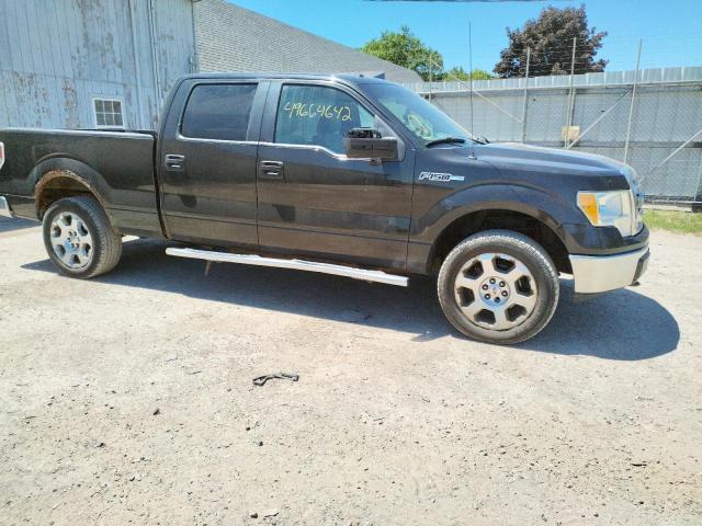Photo 9 from auction – 2010 FORD F150 SUPER with VIN 1FTFW1E85AFD07000