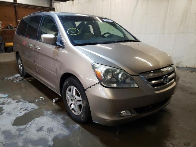 HONDA ODYSSEY EX 2005 with VIN 5FNRL38695B042541 - Photo from auction