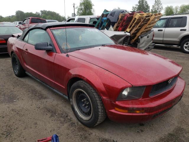 Photo 1 from auction – 2005 FORD MUSTANG with VIN 1ZVFT84N455183335
