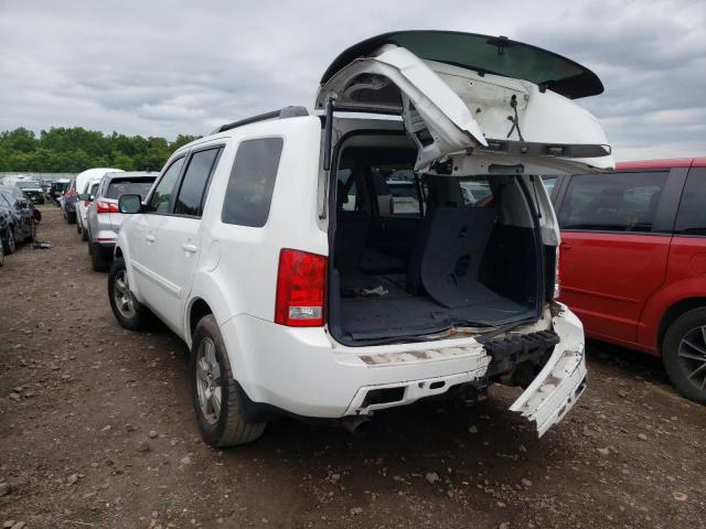 Photo 3 from auction – 2009 HONDA PILOT EXL with VIN 5FNYF48599B030105