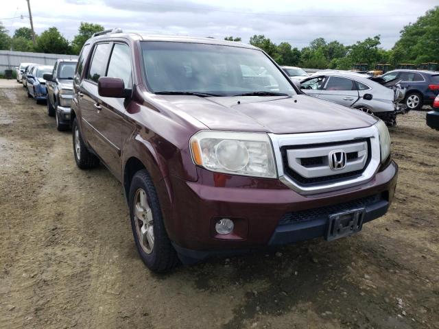 HONDA PILOT EX 2011 with VIN 5FNYF4H40BB040406 - Photo from auction