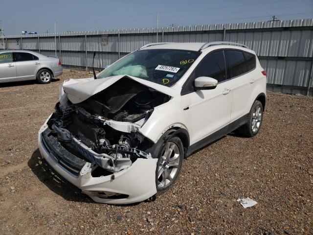 Photo 2 from auction – 2014 FORD ESCAPE TIT with VIN 1FMCU0J99EUA54536