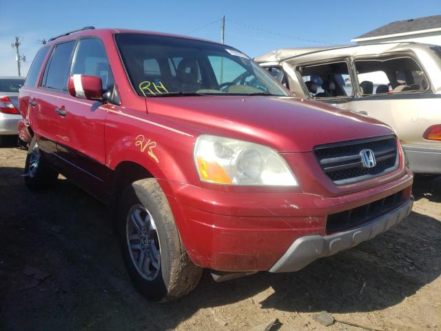 HONDA PILOT EXL 2005 with VIN 5FNYF18585B021887 - Photo from auction