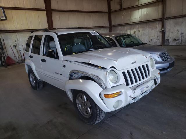 JEEP LIBERTY 2002 with VIN 1J4GL58K42W213410 - Photo from auction