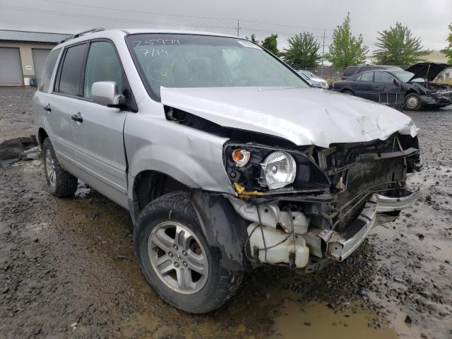 HONDA PILOT EX 2005 with VIN 2HKYF18465H555155 - Photo from auction