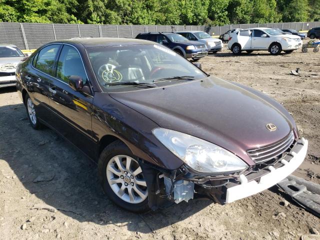 LEXUS ES 300 2002 with VIN JTHBF30G020081248 - Photo from auction