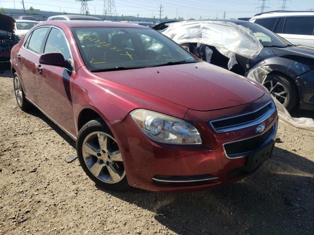 CHEVROLET MALIBU 2LT 2010 with VIN 1G1ZD5EB2AF306420 - Photo from auction
