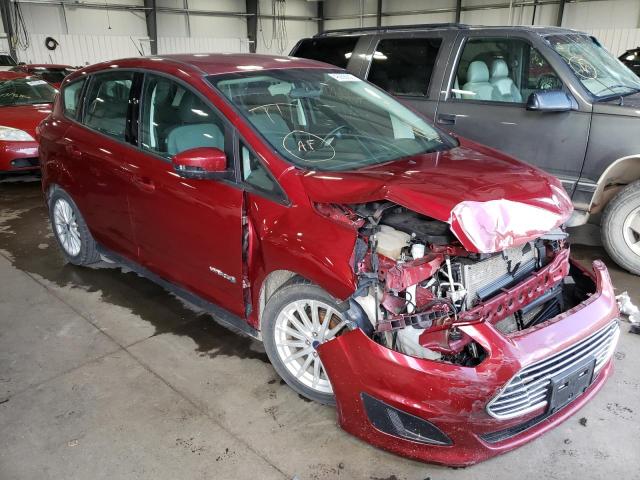 FORD C-MAX SE 2016 with VIN 1FADP5AU5GL120533 - Photo from auction