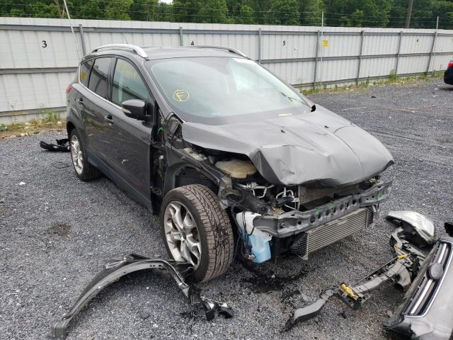 FORD ESCAPE TIT 2016 with VIN 1FMCU0J9XGUA72076 - Photo from auction